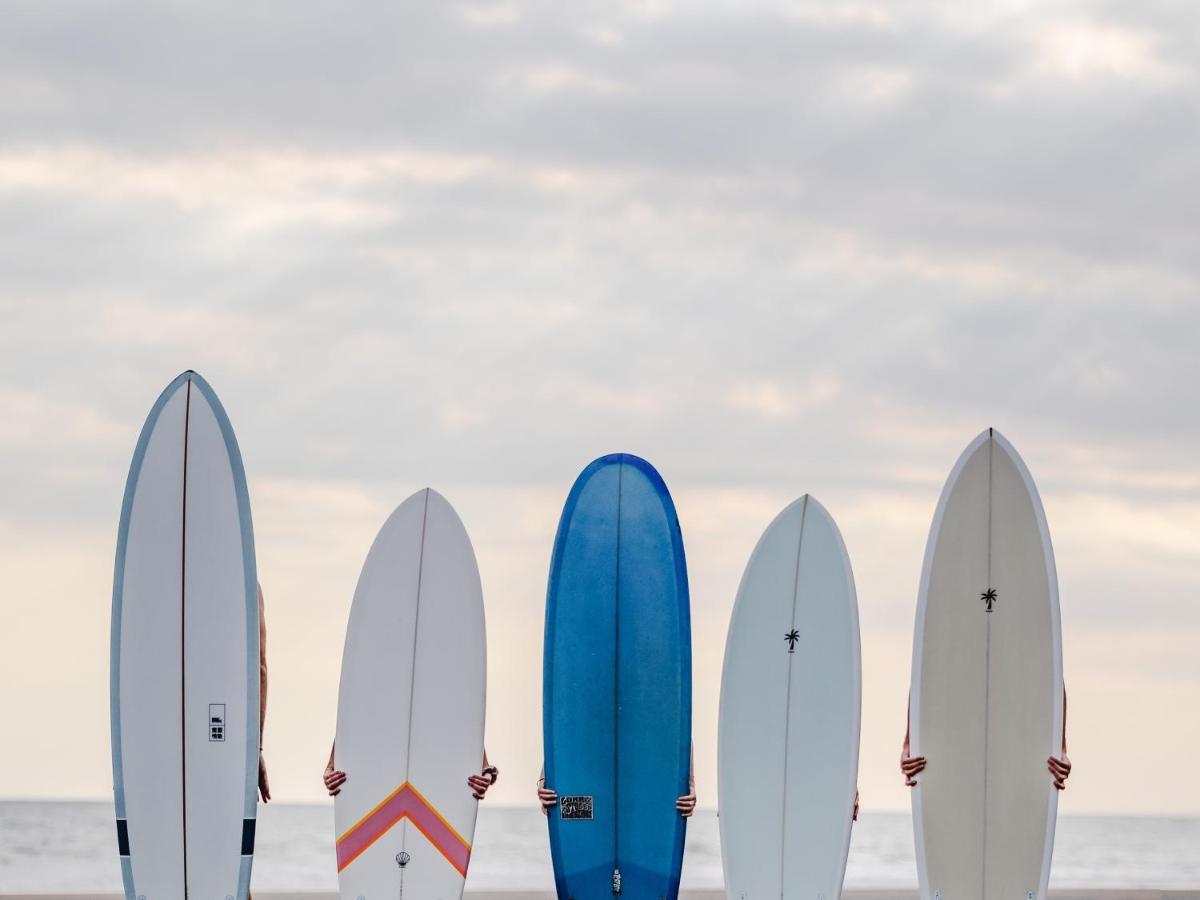 Seaside Tribe - Boutique Surf Stay & Retreat Tanah Lot  Ngoại thất bức ảnh